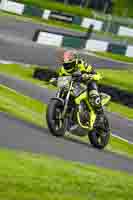 cadwell-no-limits-trackday;cadwell-park;cadwell-park-photographs;cadwell-trackday-photographs;enduro-digital-images;event-digital-images;eventdigitalimages;no-limits-trackdays;peter-wileman-photography;racing-digital-images;trackday-digital-images;trackday-photos